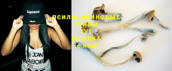 MDMA Новозыбков