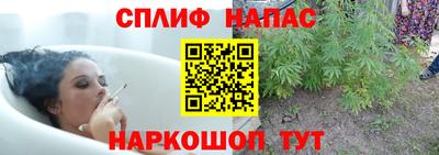 спиды Сланцы