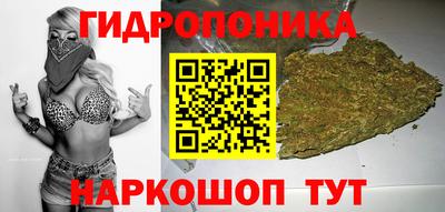 спиды Сланцы