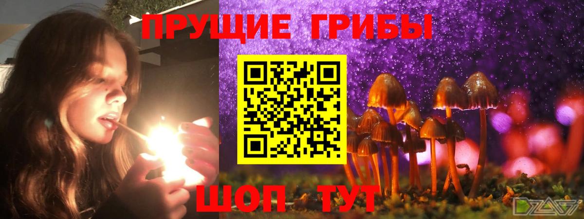 Галлюциногенные грибы MAGIC MUSHROOMS  Вход с VPN  купить наркоту  Псилоцибиновые грибы Magic Shrooms  Партизанск 